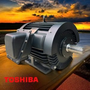động cơ toshiba 1